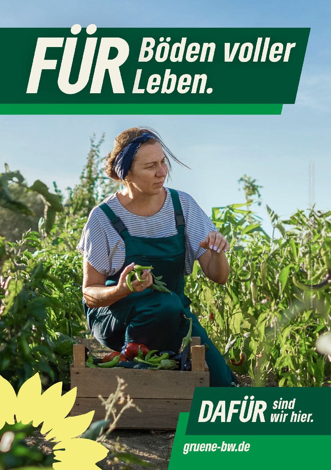 GrueneBW_Themenplakate_A13