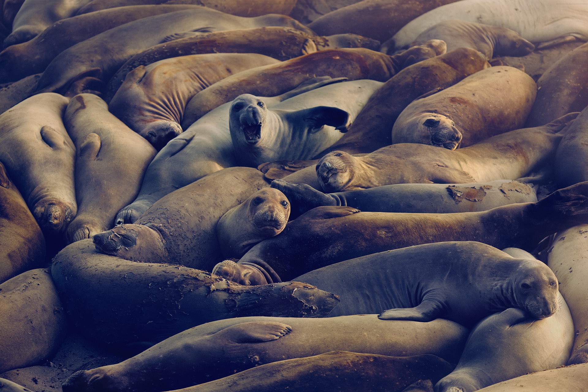 Header-Motiv_1920x1280px_3