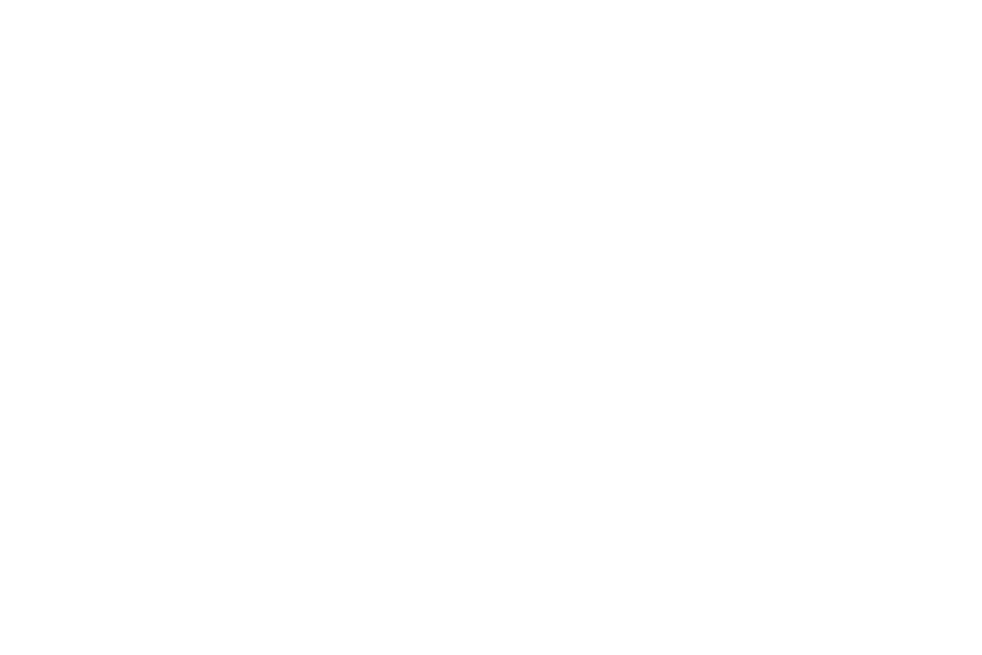 PP_BFF_LoestWasAus_Logo_1920x1280px_weiss_v2