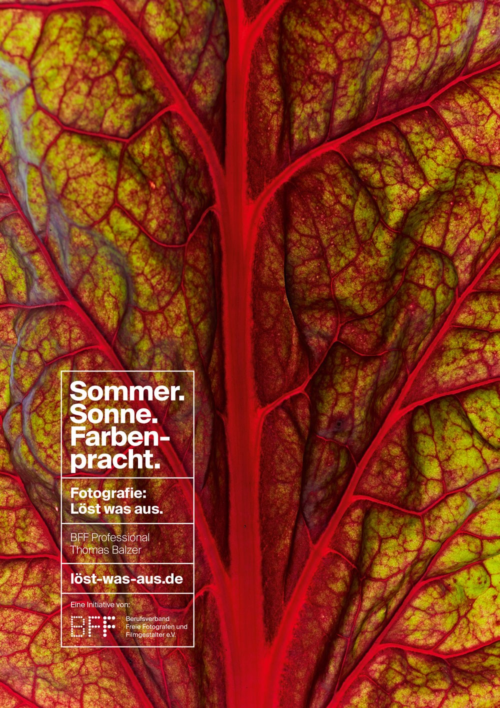 PP_BFF_LoestWasAus_Plakate_Stadtkultur_S03V01-RZ_07