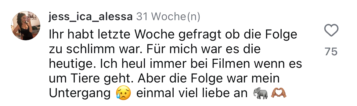 Kommentar_8