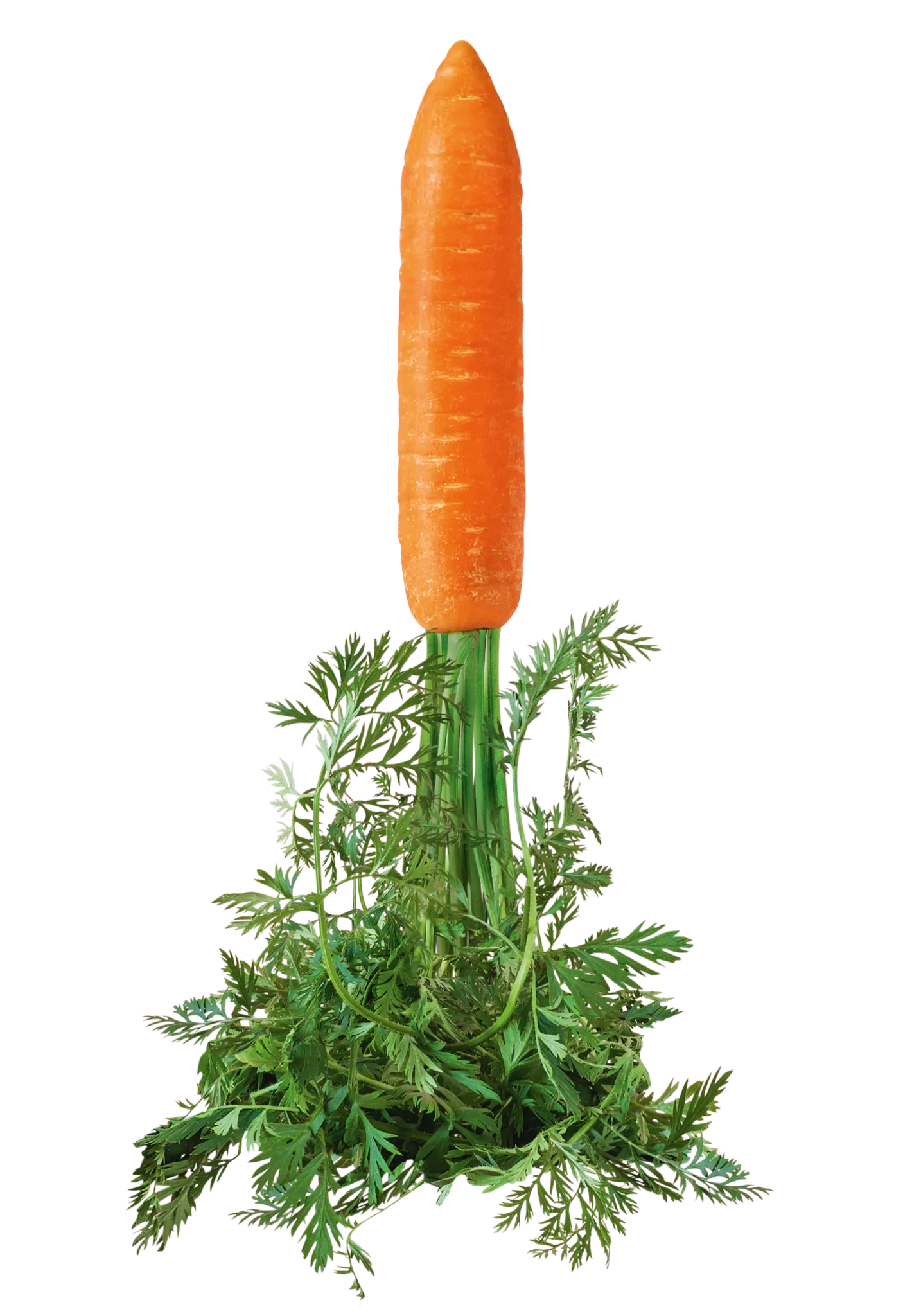 Unbenannt-3 Unbenannt-3